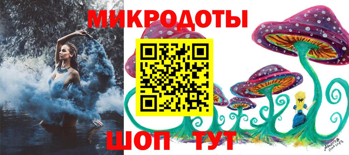 Псилоцибиновые грибы Psilocybine cubensis Чайковский